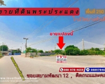 ขายที่ดิน ปากซอยสยามพัฒนา12 วัดบางหัวเสือ พื้นที่ 250 ตรว