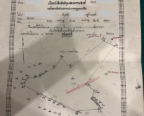 ขายที่ดิน สวนปาล์ม 15 ไร่กว่า อ. ทับปุด จ. พังงา