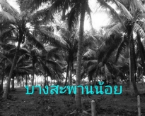 ทรัพย์ดีราคาคุยกันได้แถมวางดาวน์ผ่อนต่อได้   ขาย ใกล้ทะเลขายถูกเห