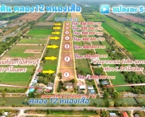 ขายที่ดิน 5ไร่ คลอง 12 หนองเสือ ติดถนน 2 ด้าน