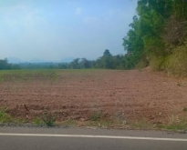 ขายที่ดินติดถนนลาดยาง หน้ากว้าง 200ตรว.