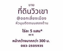 ขายที่ดินเปล่า 60-0-28 ไร่ ต.บางประมุง อ.โกรกพระ จ.นครสวรรค์