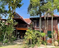 For Rent : Naiyang, 2-story Thai house, 2 Bedrooms 2 Bathrooms