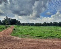 ขาย ที่ดินพร้อมสิ่งปลูกสร้าง ต.ทุ่งฝน อ.ทุ่งฝน จ.อุดรธานี