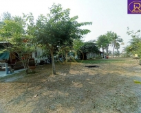 ขายที่ดินทำบ้านสวน 1-2-33ไร่ ผลไม้ หลากหลายชนิด บ้านสวน เมืองชลบุ