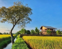 บ้านสวนบรรยากาศดี สไตล์รีสอร์ท น้ำดีดินดี วิวเขาวิวทุ่งนา 360 องศา