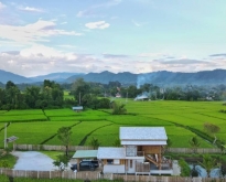 บ้านสวนบรรยากาศดี สไตล์รีสอร์ท น้ำดีดินดี วิวเขาวิวทุ่งนา 360 องศา