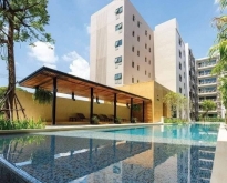 Luxury condo for rent at The Issara Chiang Mai