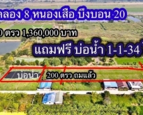 ที่ดินคลองแปด ซอยบึงบอน20 หนองเสือ ปทุมธานี 200 ตรว.