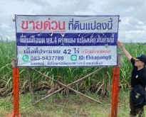 ด่วน ขายที่ดินแม่สอด-ห้วยกระโหลก จำนวน42ไร่ ***(ที่ดินมีโฉนด นส.4 ครุฑ