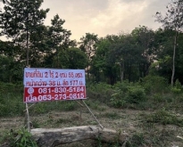 ขายที่ดินโฉนดในเขต ต.แวงน่าง