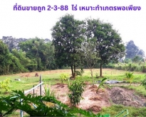 ขายที่ดินถมแล้ว 2-3-88 ไร่ อ.เมือง จ. ปราจีนบุรี