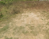 ขายที่ดิน 2 แปลง เนื้อที่รวม 350 ตร.วา ถมแล้ว