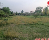 ขาย ที่ดิน แปลงสวย ถมแล้ว เจริญธรรม วิหารแดง สระบุรี