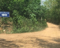 ขาย ที่ดินเปล่า 28 ไร่ 252 ตร.วา เดินทางง่าย ไม่ไกลตัวเมือง