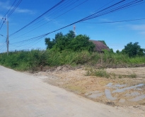 ขายที่ดินซอยบางปู111