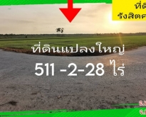 ขาย ที่ดิน หนองเสือ 511 ไร่ 2 งาน 28 ตร.วา