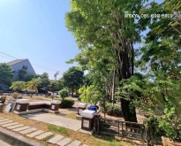 ขายทาวน์โฮม คาซ่าซิตี้ นวลจันทร์2 หลังริม วิวสวน