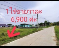 ขายที่ดิน 1 ไร่ แบ่งเนื้อที่แปลงละ 100 ตร.ว.