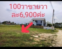 ขายที่ดิน 1 ไร่ แบ่งเนื้อที่แปลงละ 100 ตร.ว.