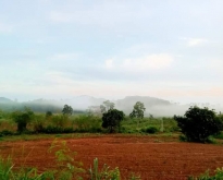 ขายที่ดินภบท.5แปลงสวย วิวสวย ภูเขาล้อมรอบ