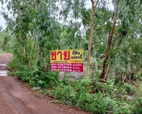 ขายที่ดิน 7-2-94.4 ไร่ ราคาพิเศษ เพียง 1แสนไร่ อ.ปลาปาก จ.นครพนม