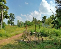 ขาย ที่ดิน ต.หนองปลิง อ.เมืองกำแพงเพชร จ.กำแพงเพชร
