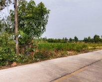 ขาย ที่ดิน ต.ถ้ำกระต่ายทอง อ.พรานกระต่าย จ.กำแพงเพชร