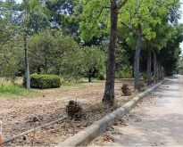 ขายที่ดินจัดสรร กาญจนบุรี ด่วน!!!