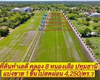 ห้ามพลาดที่ดินทำเลดี คลอง 8(ซอยบึงบอน19)