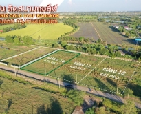 ขายที่ดิน ดินเปล่า ติดสนามกอล์ฟ Phoenix Gold Golf Bangkok หนองจอก