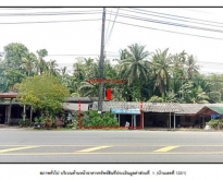 ขายห้องแถวชั้นเดี่ยว ต.ห้วยน้ำขาว อ.คลองท่อม จ.กระบี่