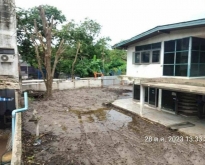 PO798 ขายที่ พร้อมบ้านเก่า 1 หลัง ที่ดิน 126 ตรว. ซอยลาดพร้าว 80