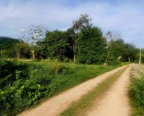 ขายที่ดินทำเลดี เจ้าของขายเอง   จังหวัดนครนายก
