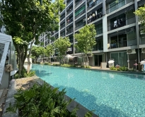 ขายด่วน 1ห้องนอน 35.5 ตร.ม. Pool Access