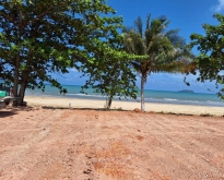 ขายที่ดินแบ่งแปลง หาดทรายรีสวี ตำบลท่าหิน อำเภอสวี จังหวัดชุมพร