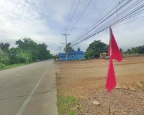 ที่ดินตำบลบึงชำอ้อ หนองเสือ ปทุมธานี น้ำไฟพร้อม ติดถนน 200 ตรว.