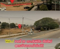 ให้เช่าหรือขายที่ ต.สันผีเสื้อ อ.เมืองเชียงใหม่ ตรงข้ามตลาดป่าข่อ