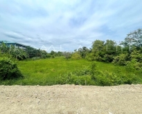 ขายที่ดินเปล่า (แปลงมุม) ต.ท่าศาลา อ.เมืองลพบุรี จ.ลพบุรี 196 ตร.ว