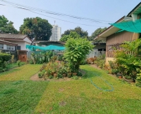 ขายที่ดินทำเลดี พร้อมบ้าน ตำบลแม่ฮี้ อำเภอปาย, แม่ฮ่องสอน