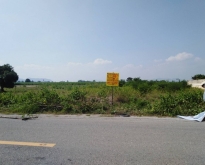 ขายที่ดินติดถนน บ้านทุ่งทอง-กร่างทอง อำเภอท่าม่วง จังหวัดกาญจนบุร