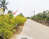 ขายที่ดิน นครชัยศรี จ.นครปฐม ถูกมาก ติดคลอง 704 ตร.ว. ใกล้พิพิธภัณฑ์ห