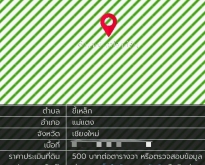 ขายสวนลำไย และ สวนผลไม้ผสมบนเนินเขาวิวสวย 360 องศา เนื้อที่ 8-1-57 ไร่