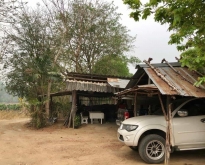 ขายสวนลำไย และ สวนผลไม้ผสมบนเนินเขาวิวสวย 360 องศา เนื้อที่ 8-1-57 ไร่