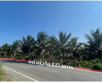 ที่ดินทำเลสวยๆ ติดถนนดำ พร้อมมะพร้าวน้ำหอม อ.ขนอม