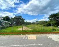 ขายที่ดินเปล่าติดถนนสาธารณะสองด้าน ต.หนองหาร อ.สันทราย จ.เชียงใหม