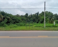 ขาย ที่ดินพร้อมสิ่งปลูกสร้าง บ้านพักอาศัยตึกชั้นเดียว