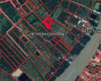 ขายที่ดินแปลงติดแม่น้ำบางปะกง (เกาะลัด) 4