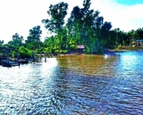 ขายที่ดินแปลงติดแม่น้ำบางปะกง (เกาะลัด)