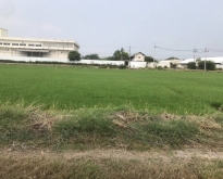 ขายที่ดิน 3แปลง มีทางเข้าออก เจ้าของขายเอง  อำเภอพุทธมณฑล นครปฐม